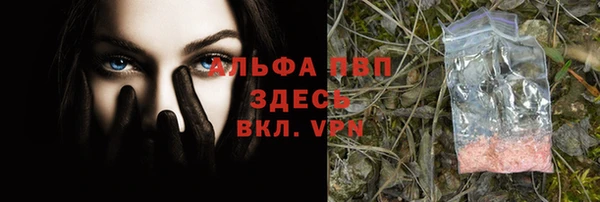 герыч Новодвинск