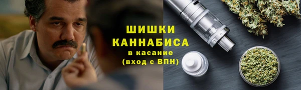 spice Новозыбков