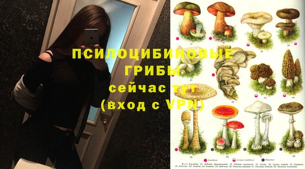 соль ск Нефтекумск