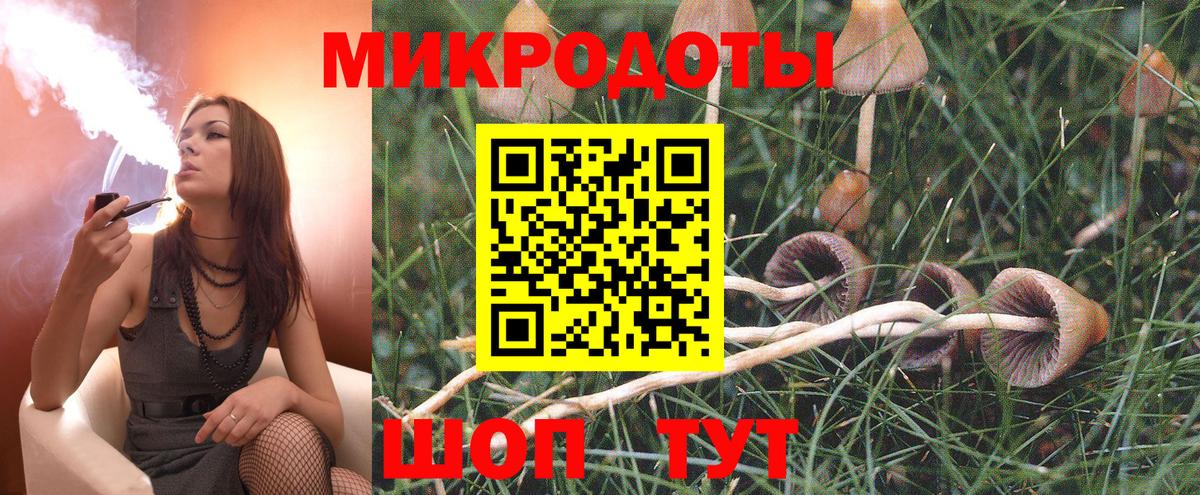 Галлюциногенные грибы Psilocybine cubensis Белебей