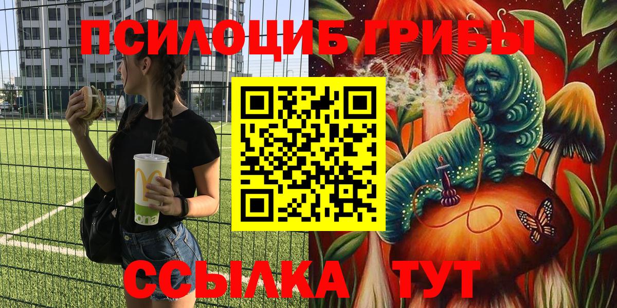 Псилоцибиновые грибы мицелий Белебей