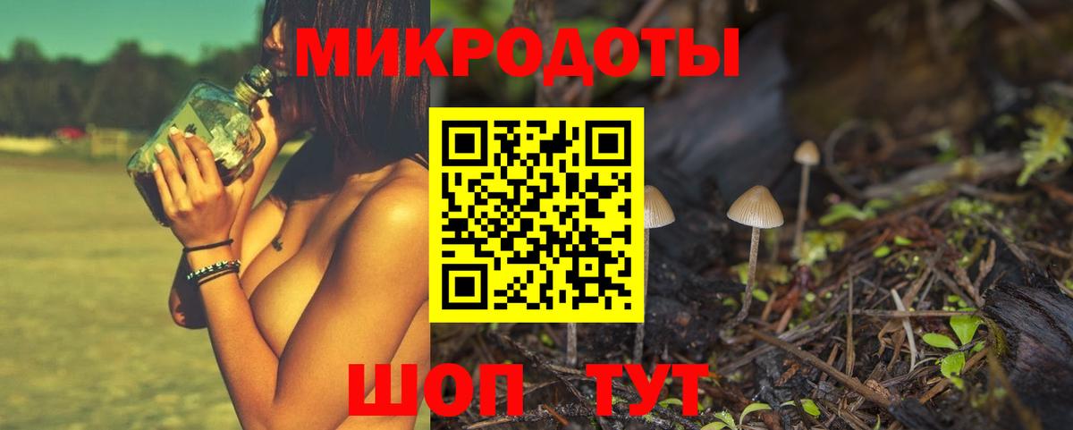 Галлюциногенные грибы Psilocybe  Белебей 